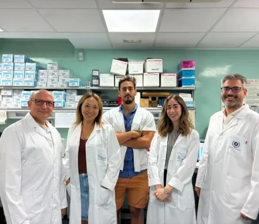 Investigadores identifican un compuesto natural que mejora la memoria en modelos de alzhéimer