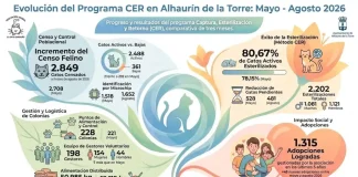 Alhaurín de la Torre se consolida como modelo de gestión y control de las colonias felinas