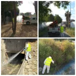 Nuevos trabajos de fumigación contra la presencia de mosquitos en Alhaurín de la Torre