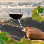 Barranco Oscuro y la especulación energética