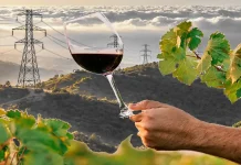 Barranco Oscuro y la especulación energética